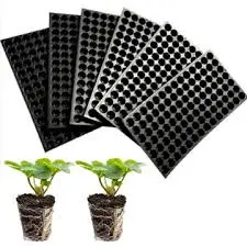 [PROD0055] Seedling Tray