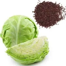 [PROD0005] Cabbage Seeds