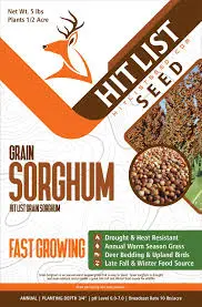 [PROD0009] Sorghum Seeds
